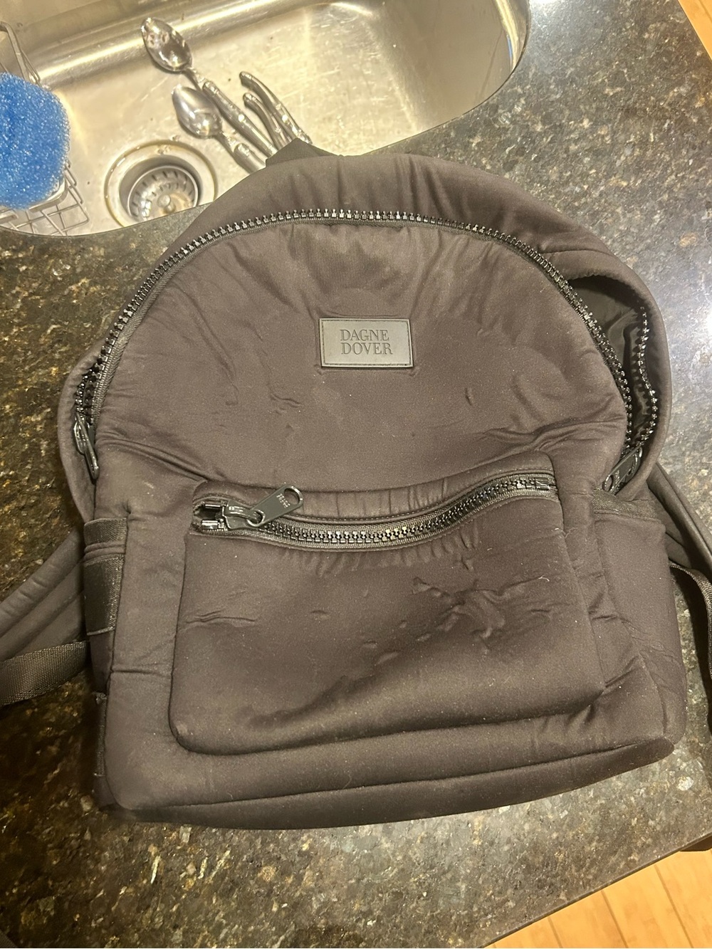 Dagne Dover Black Medium Dakota Backpack